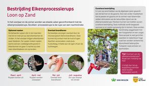 Bestrijding Eikenprocessierups 