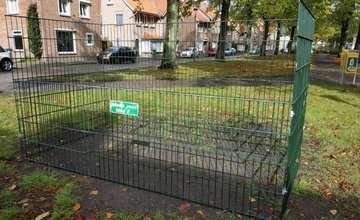 Een bladkorf